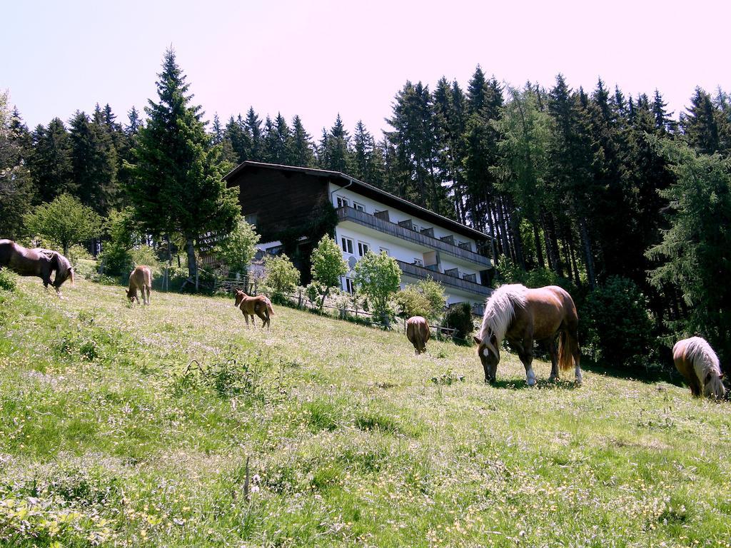 Hotel Garni Gaestehaus Karin Sankt Stefan im Lavanttal Esterno foto